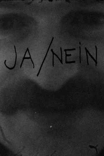 YesNo