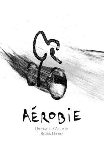 Aérobie