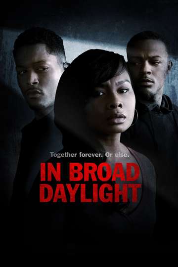 In Broad Daylight Poster