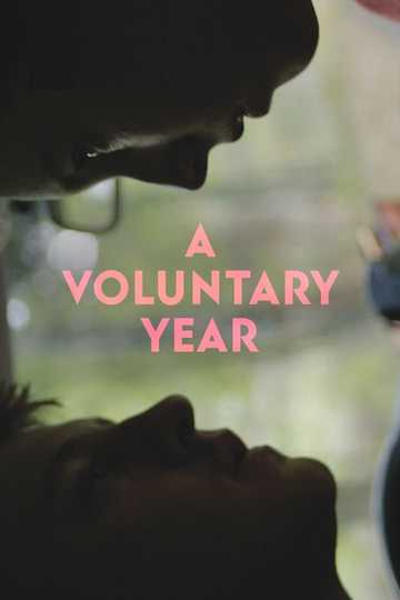 A Voluntary Year