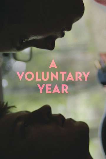 A Voluntary Year Poster