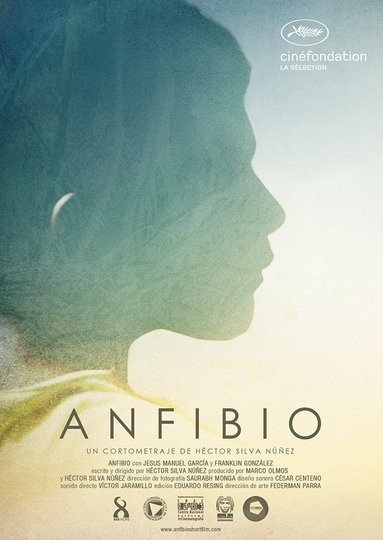 Anfibio