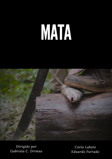 MATA Poster