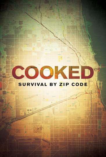 Cooked Survival by Zip Code Poster