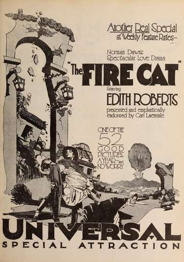 The Fire Cat Poster
