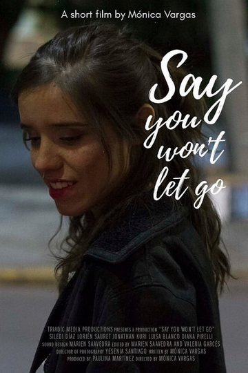 Say You Won't Let Go Poster