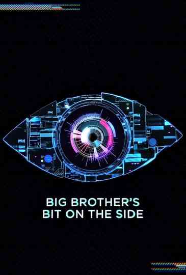 Big Brother's Bit on the Side