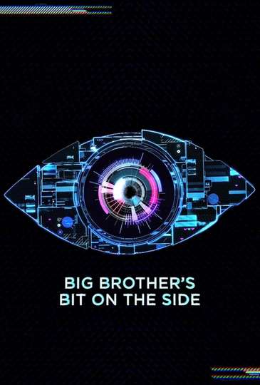 Big Brother's Bit on the Side Poster