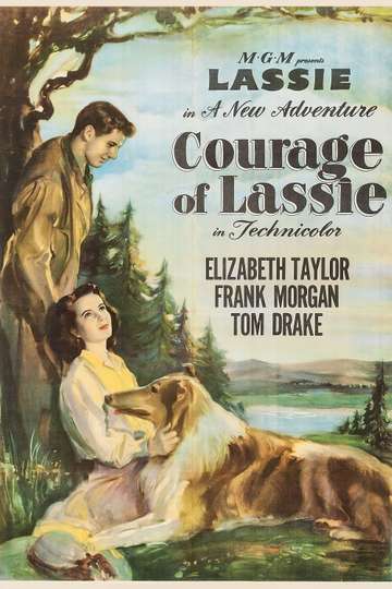 Lassie - Movies on Google Play