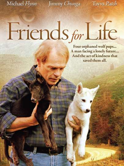 Friends for Life Poster