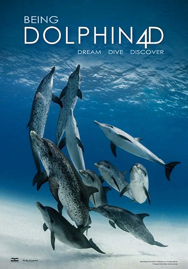 Being Dolphin 4D Poster