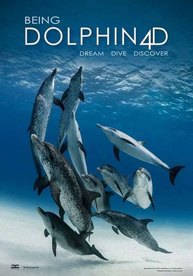 Being Dolphin 4D Poster