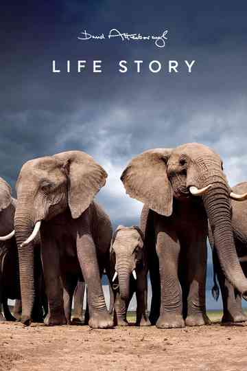 Life Story Poster