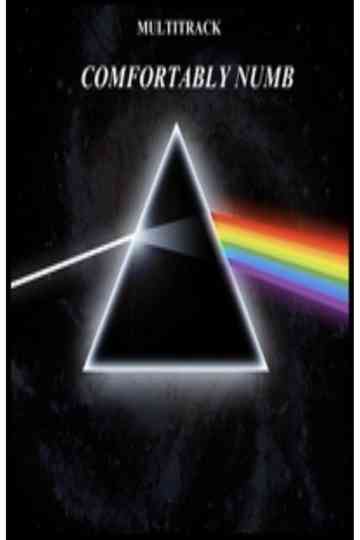 Pink Floyd  Comfortably Numb