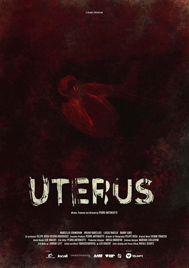 Uterus Poster