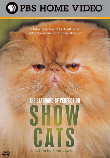 The Standard of Perfection: Show Cats Poster