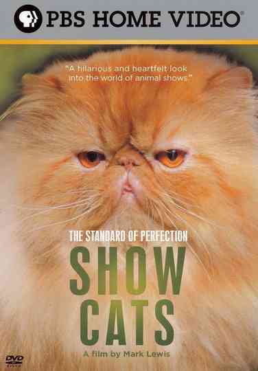 The Standard of Perfection: Show Cats
