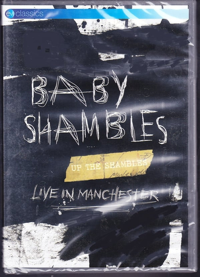 Babyshambles Up The Shambles Live in Manchester