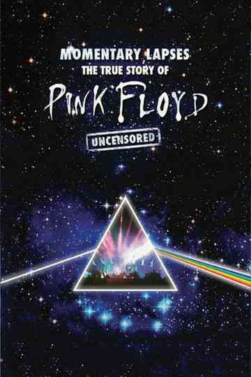 Pink Floyd Momentary Lapses  The True Story of Pink Floyd Poster