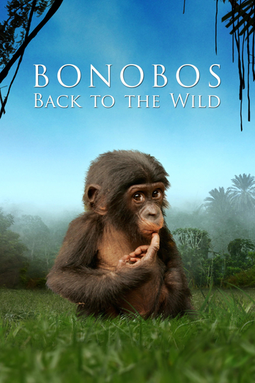 Bonobos: Back to the Wild Poster