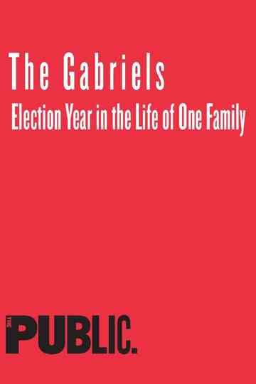 The Gabriels: Election Year in the Life of One Family Poster
