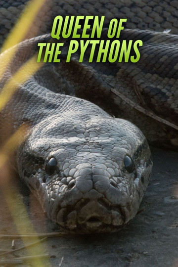 Queen of the Pythons