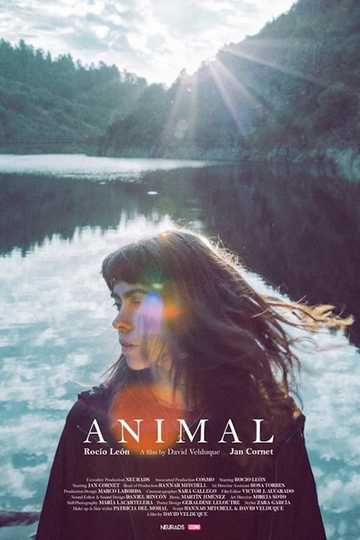 Animal