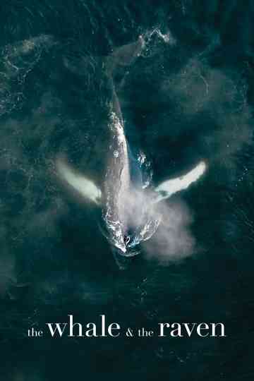 The Whale and the Raven Poster