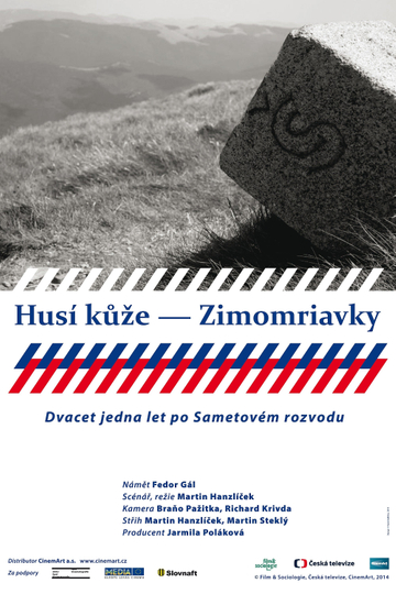 Husí kůže  Zimomriavky Poster