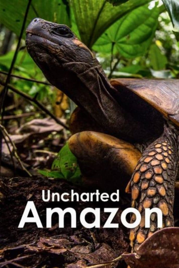 Uncharted Amazon Poster