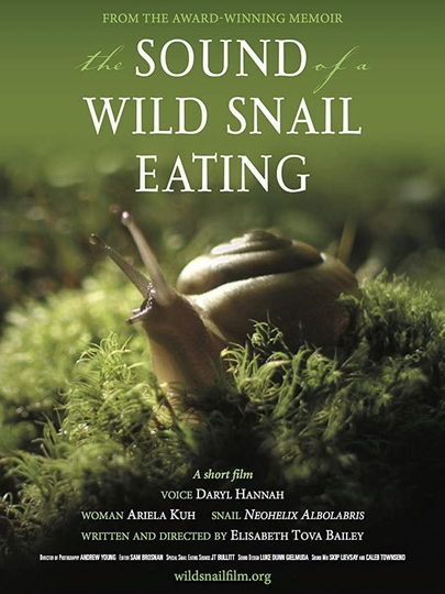 The Sound of a Wild Snail Eating