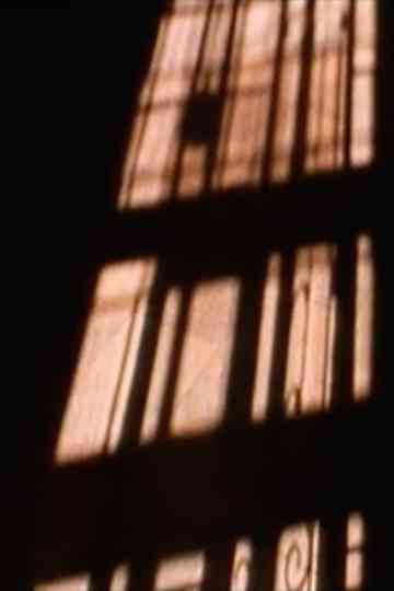 the willing voyeur... Poster