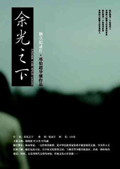 Under the Split Light Poster