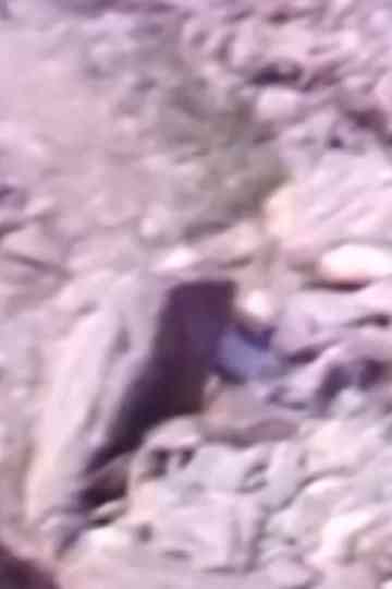 Rocas y Humo