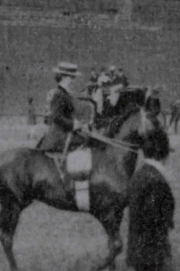 Judging Ladies' Saddle Horses