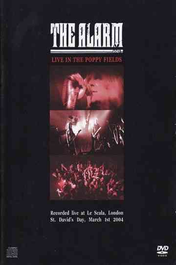 The Alarm - Live In The Poppy Fields