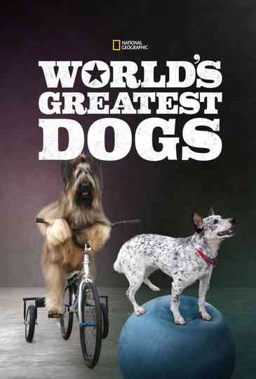 World's Greatest Dogs
