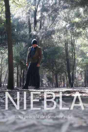 Niebla