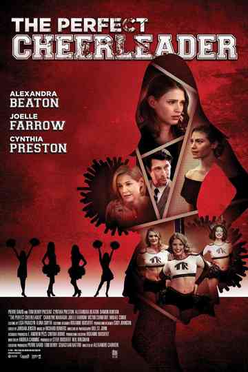 The Perfect Cheerleader poster