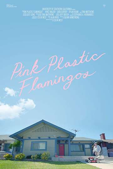 Pink Plastic Flamingos Poster