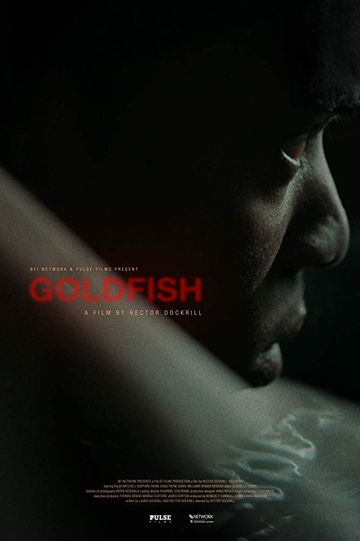 Goldfish Poster