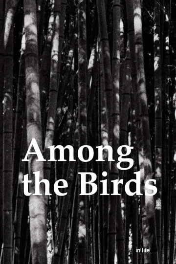 Among the Birds Poster