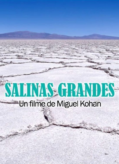 Salinas grandes Poster