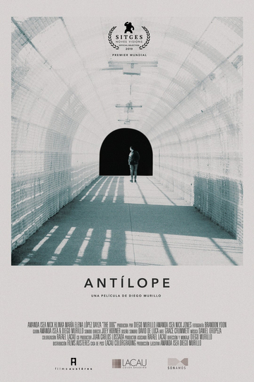 Antelope Poster