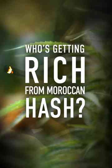 Whos Getting Rich from Moroccan Hash