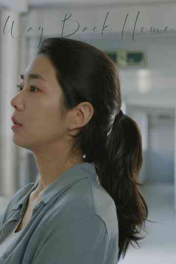 Way Back Home poster