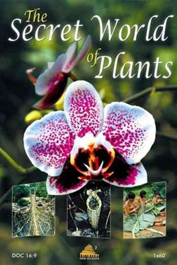 The Secret World of Plants Poster
