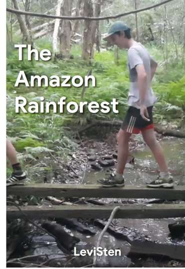 The Amazon Rainforest Poster