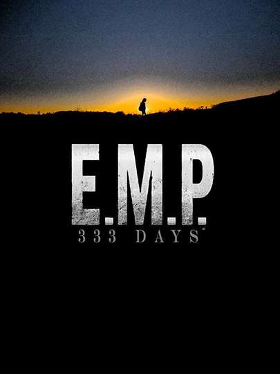 EMP 333 Days Poster