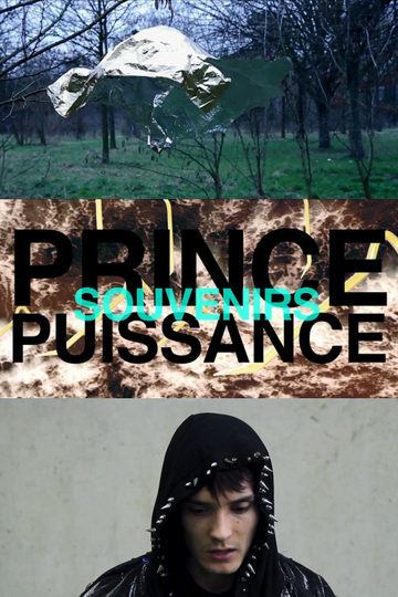 Prince puissance souvenirs Poster